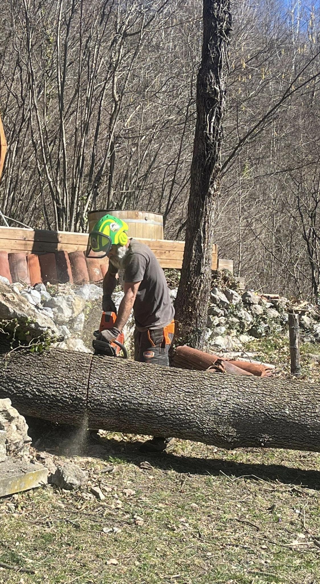 Homme coupant une branche d'arbre avec une tronçonneuse