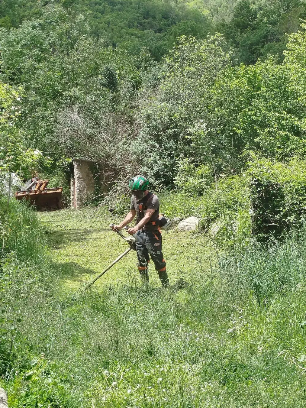 Homme tondant la pelouse avec une débroussailleuse